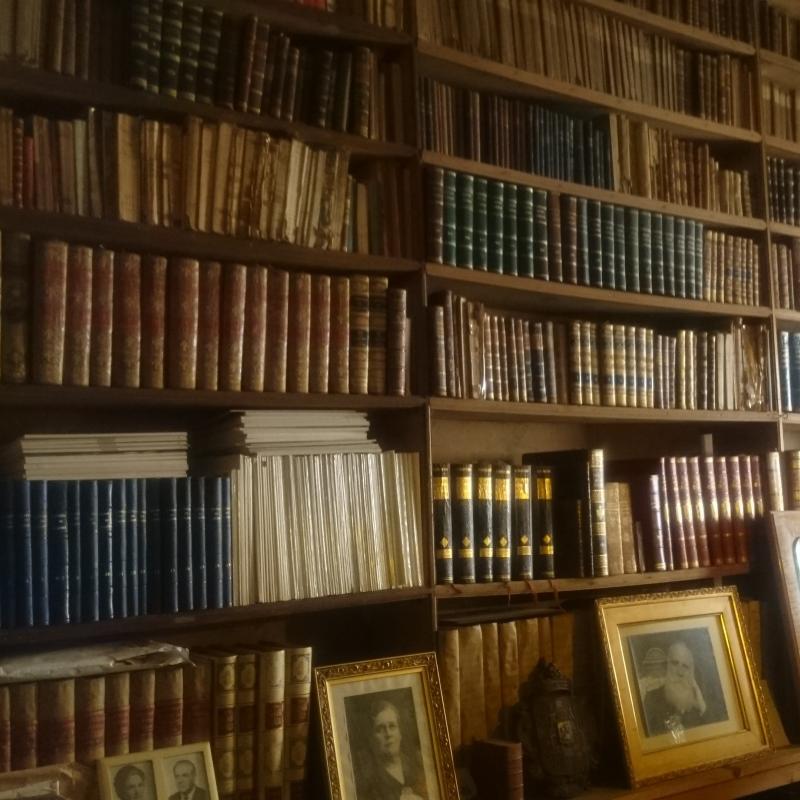 Biblioteca casa Fages